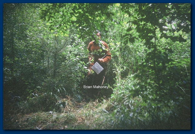 600x404 pixels (175K)